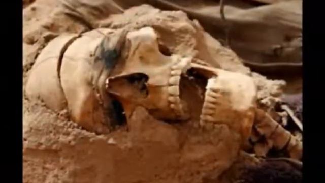 Assad lovely boy (Namazo Kie Liye Tiyaar Ho Jou) смотреть онлайн