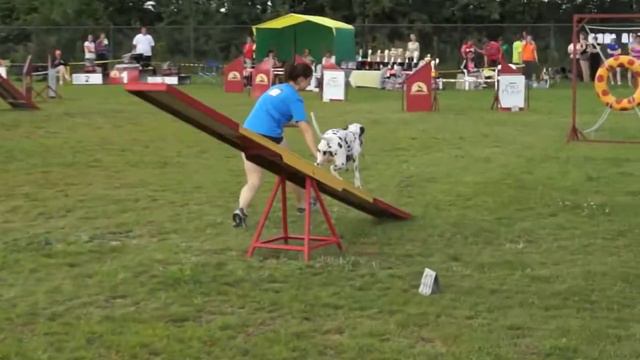 Первенство России по аджилити 2014 г. Юниоры v06