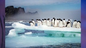 §26 "Путешествие по Антарктиде", География 5 класс, Домогацких