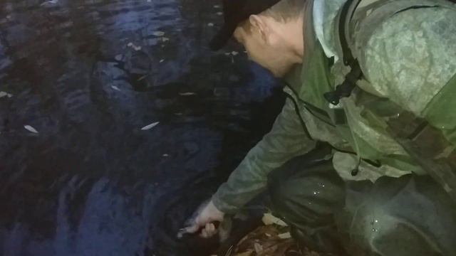Городская рыбалка. MY-FISHING.RU
