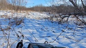 ямаха браво 250