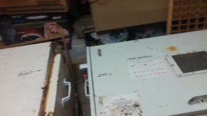 Выведение цыплят из самодельных инкубаторов