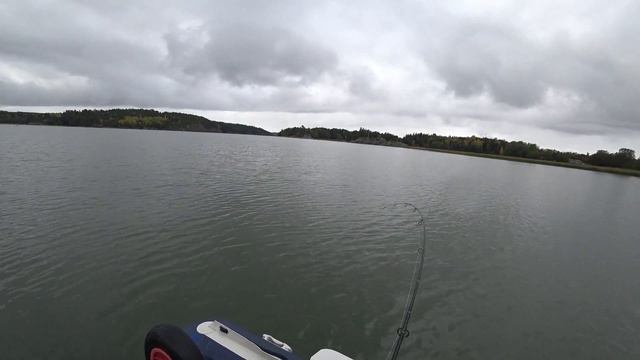 За окунем на Аландские острова. Окунь, Щука и Судак - Осенью 2017 г. смотреть онлайн