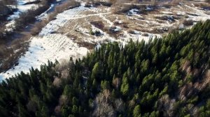 Весна в Лесу с квадрокоптером...