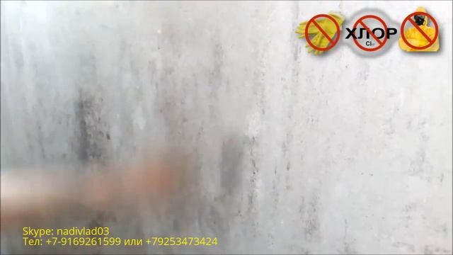 Борьба с плесенью на балконе смотреть онлайн