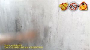 Борьба с плесенью на балконе