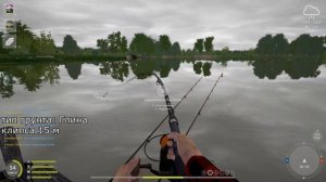 рр4 фарм на карпах озеро Янтарное Русская рыбалка 4 RF4 carp fishing Russian fishing4