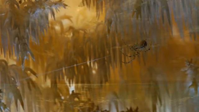 Арво Пярт  Моцарт - Адажио (трио) смотреть онлайн