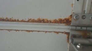 Хёрман или Дорхан.mp4