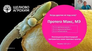 Записки агронома: выбираем протравитель для нового сезона