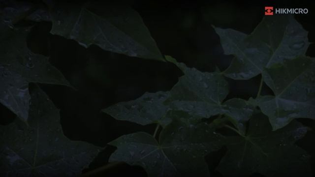 Тепловизионная насадка THUNDER Pro Clip-on смотреть онлайн