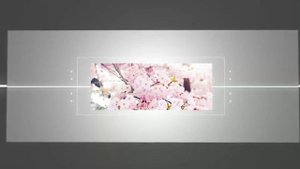 Stylish Portfolio | After Effects Project Files - Videohive template