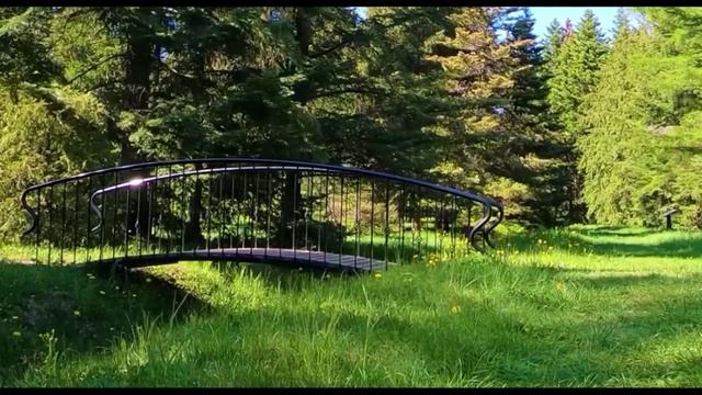 КРАСИВОЕ ПЕРЕЛИВЧАТОЕ ПЕНИЕ СЛАВКИ,ЕЙ ПОДПЕВАЕТ ХОР ЛЕСНЫХ ПТИЦ смотреть онлайн