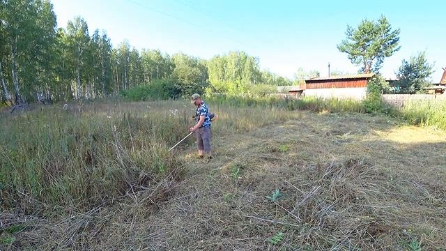 Купил участок у леса под пасеку//I took a plot in the forest for an apiary смотреть онлайн