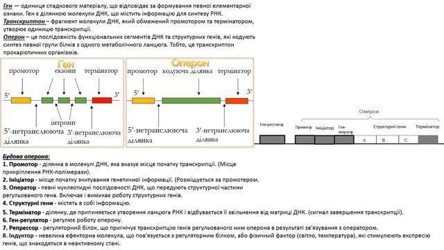 Експресія генів (2020) смотреть онлайн