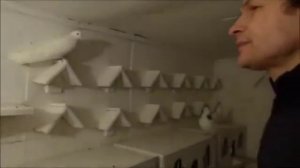 Ижевское гривуны Катомина. А. А. Часть 2