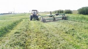 Заготовка кормов 2018. Второй укос трав красного клевера, будем крутить сенаж