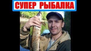 Щука на спиннинг. Щука отлично ловится. "Шиповник цветет - щука клюет!" Рыбалка на озере.