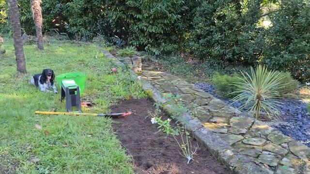 68. Сборная солянка. Живу и вышиваю 19.10.20.- 25.10.20. смотреть онлайн