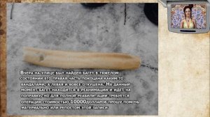 Откуда взялся трицератопс Стас?