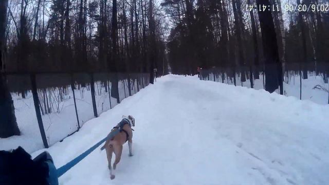 буксировка лыжника к старту -8 марта смотреть онлайн