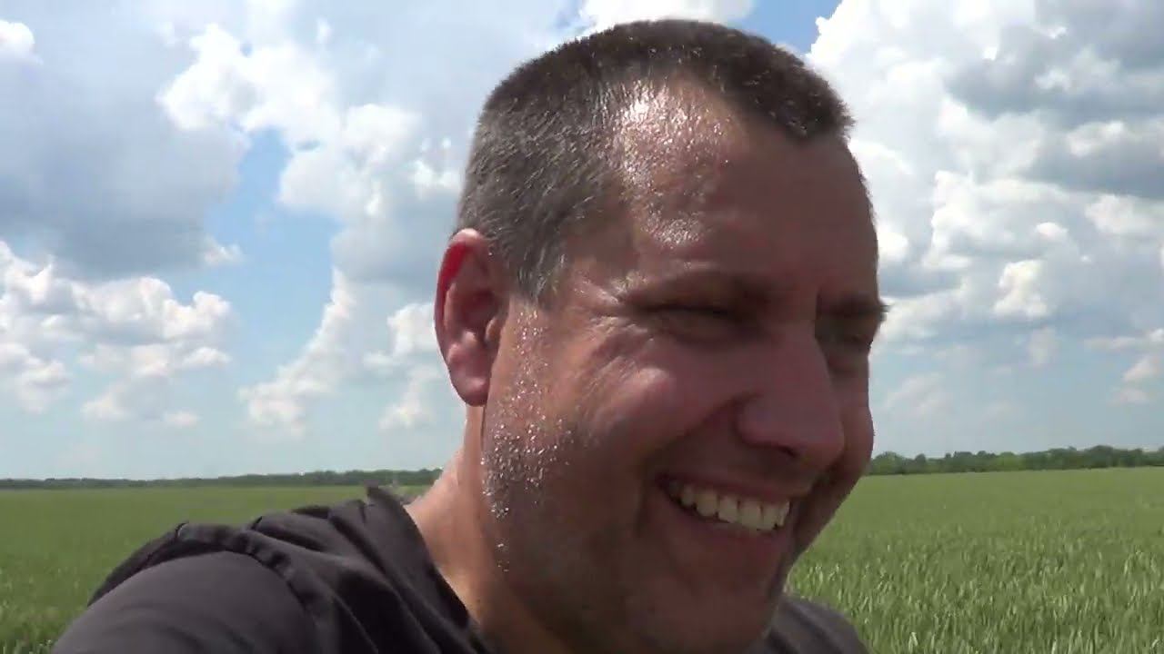 ВЫБРАЛИСЬ ИЗ ДОМА смотреть онлайн