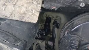 Спуск воздуха с системы охлаждения двигателя Пежо 407 1.6 HDi