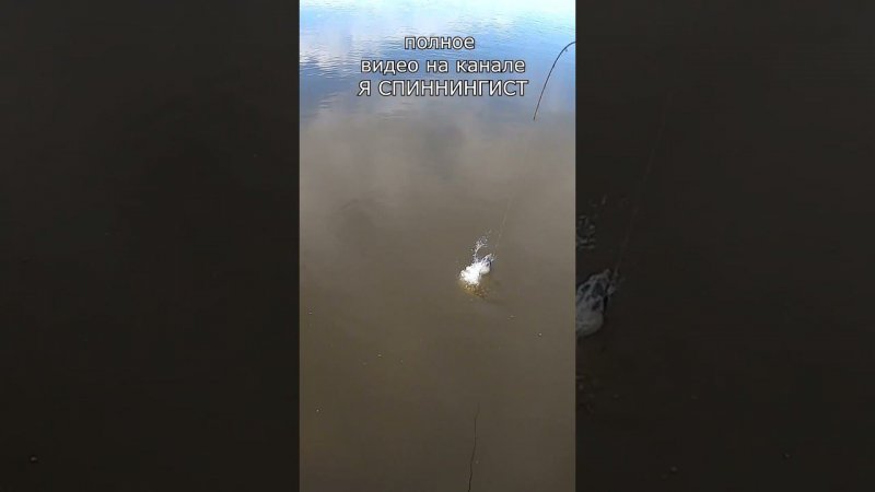 ВОТ ЭТО ДА!!!  #рыбалка #fishing #яспиннингист