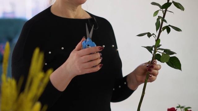 СЕКАТОРЫ для дачи: как сделать выбор и не прогадать