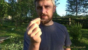 Плотницкая черта