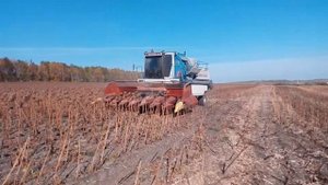 Комбайн Енисей 950 осень 2018 г.