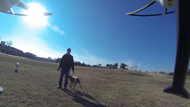 Dog Charging A Drone смотреть онлайн