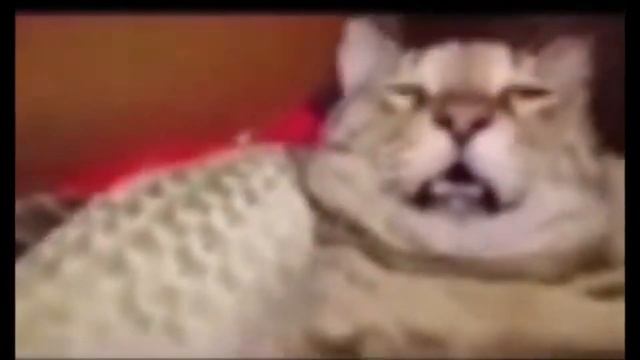 Я пытаясь побороть лень чтобы выпускать видео: смотреть онлайн