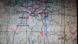 Заблудились в лесу. Как выйти обратно?