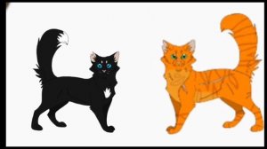 Бушующая стихия в двух словах. Коты воители