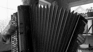 Беловежская пуща - на баяне