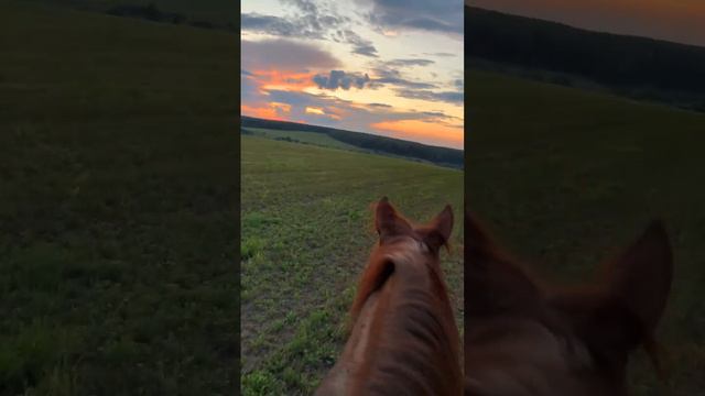 Верхом на лошади в закат.