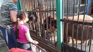 СКОЛЬКО СТОИТ ОТДОХНУТЬ С РЕБЁНКОМ В ПАРКЕ ПЕРВОГО МАЯ В ЛУГАНСКЕ