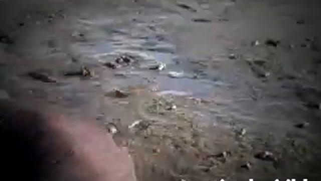 Кольский залив. С мантажом смотреть онлайн