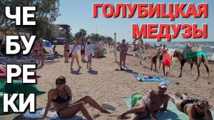 #ГОЛУБИЦКАЯ. Места без медуз. Пляж Морская волна, Золотая рыбка, Аль Маре. 17.07.2024