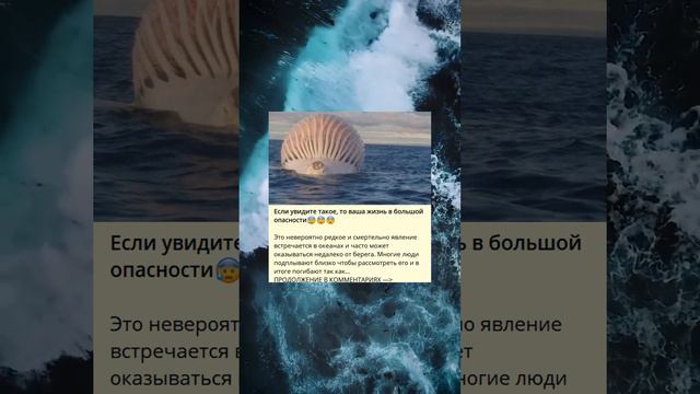 Если увидите такое, то ваша жизнь в большой опасности😰😨😨