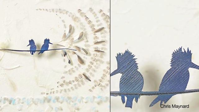 Artist Specializes in Rare Bird Feathers смотреть онлайн