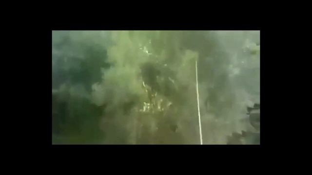 Урок как нарисовать "мокрую киску". смотреть онлайн