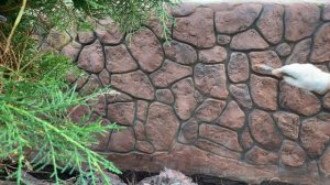 КАК И ЧЕМ  ПОКРАСИТЬ  ИСКУССТВЕННЫЙ КАМЕНЬ ИЗ БЕТОНА - DIY