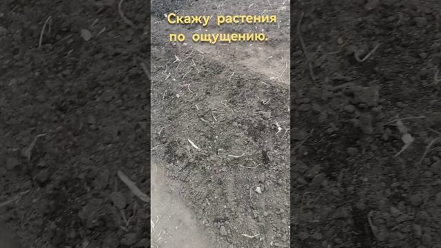 Прислушивайся к своим ощущениям.