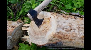 Сыч. Финал тестов