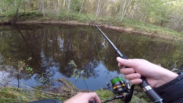Рыбалка на реке Ящера (Мшинская)