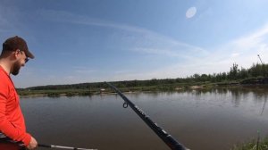 Много Карпа! Вот это РЫБАЛКА!!! Егорьевский Рыбокомбинат ЦНА.  Чуть не сломали садок...