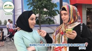 Тарих 3 часть. Социальный опрос чеченцев, на знание религии и истории.
