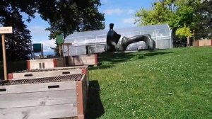 Suisse Genève Musée d' art et d'histoire de Genève Швейцария Женевский музей искусства и истории